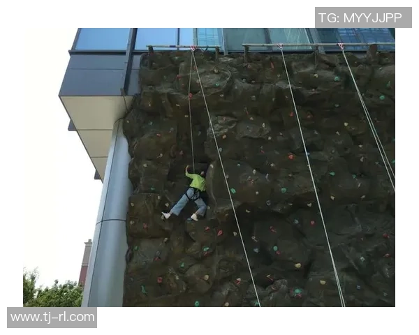 数据分析：武汉攀岩队的比赛经验表现